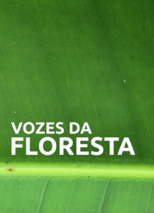 Vozes da floresta : vida e música de um povo da Amazônia